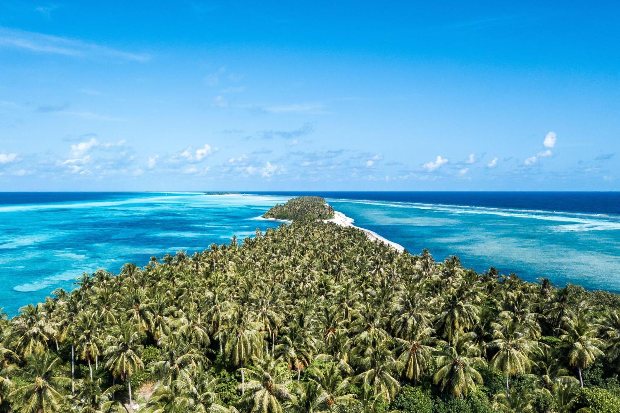 Tropical Tree Hotel Fehendhoo Exterior foto