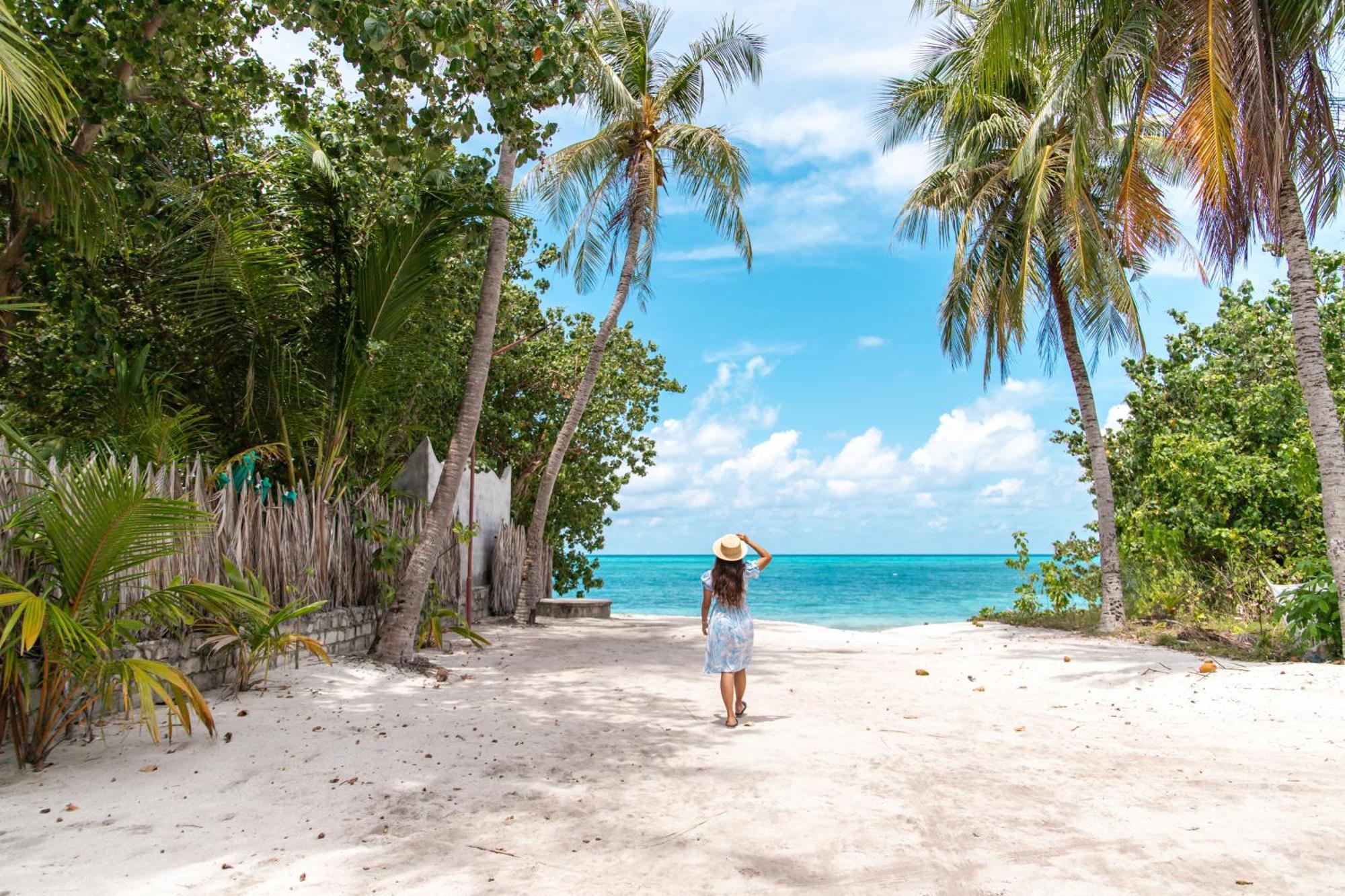 Tropical Tree Hotel Fehendhoo Exterior foto