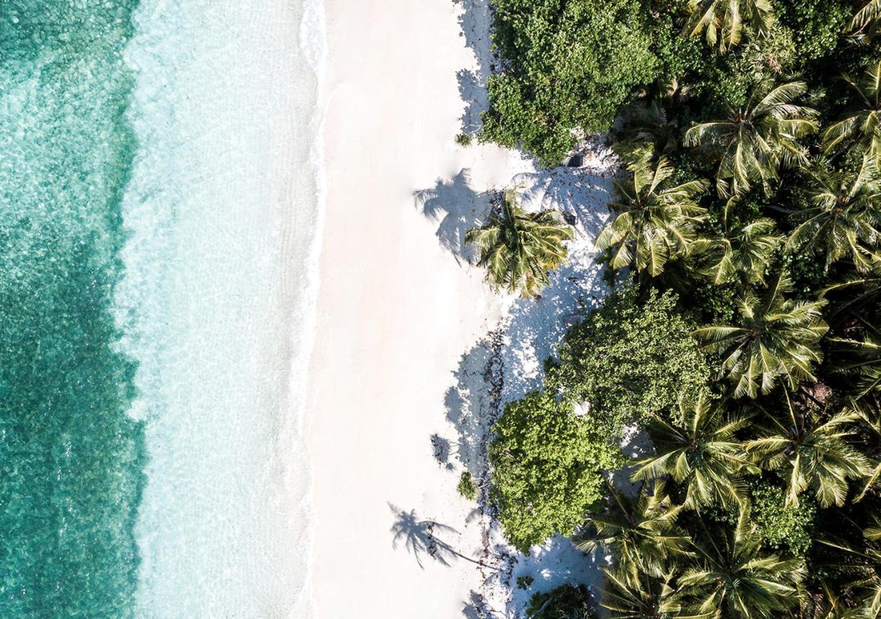 Tropical Tree Hotel Fehendhoo Exterior foto