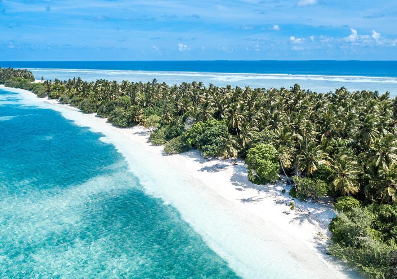 Tropical Tree Hotel Fehendhoo Exterior foto